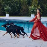 artist image Cardi B Bodak Yellow (Kashin VIP) Invasion of Privacy