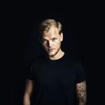 artist image Avicii feat. Noonie Bao Fades Away TIM