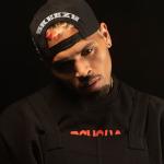 artist image Chris Brown Wheels Fall Off Breezy
