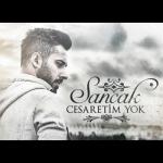 album image Sancak - Denizlere At Cesaretim Yok