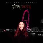 album image Her Yer Karanlik Her Yer Karanlık - Single