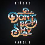 album image Dont Be Shy Don't Be Shy - Single